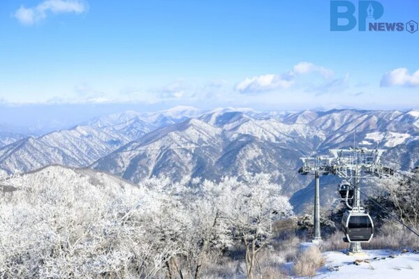 출처: 게티이미지뱅크 (정선군 가리왕산 케이블카)