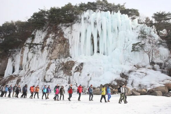 출처: 철원군청 (1월 꼭 가볼만한 국내 축제)
