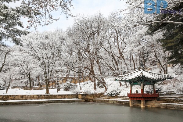 출처: 게티이미지뱅크 (수도권 설경 명소)