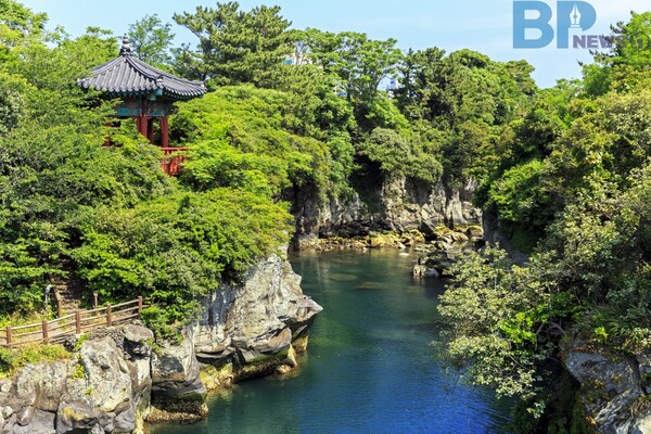 출처: 게티이미지뱅크 (2024년 제주도 여행)