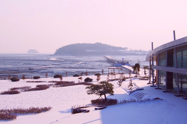 사진 = 무안황토갯벌랜드 홈페이지