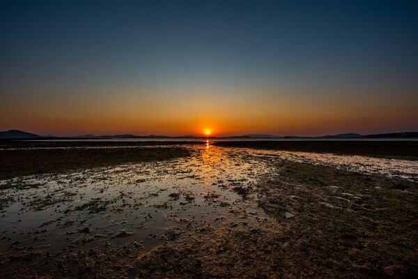 출처 = 게티이미지뱅크