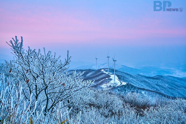 출처 = 게티이미지뱅크