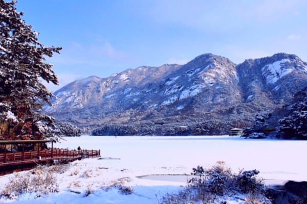 사진 = 겨울 속 산정호수(온라인 커뮤니티)