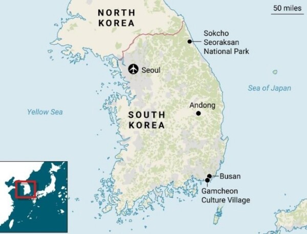 사진=더타임스