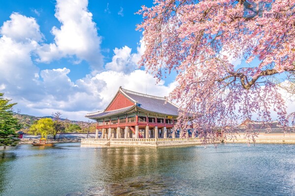 출처 = 게티이미지뱅크