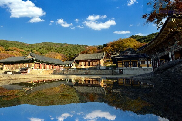 출처: 게티이미지뱅크 (충남 예산군 관광객 증가)