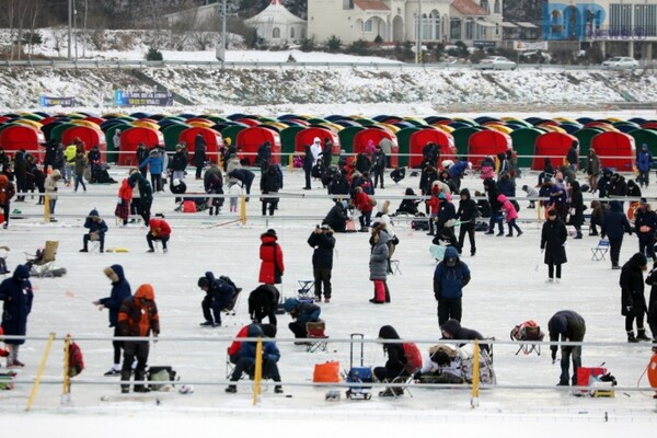 출처 = 평창 송어축제(온라인 커뮤니티)