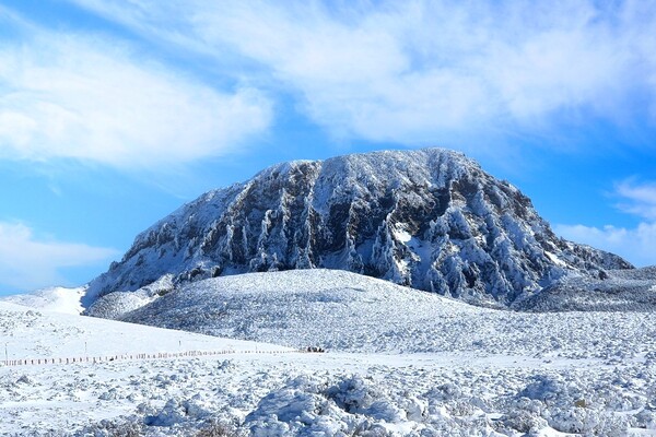 출처 = 게티이미지뱅크