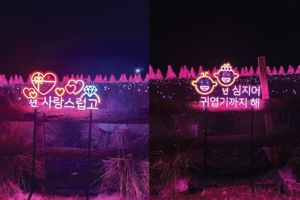 출처 = 포천 허브아일랜드