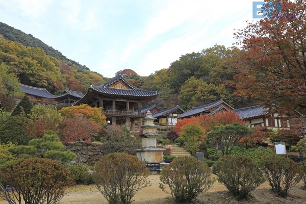 출처 = 게티이미지뱅크