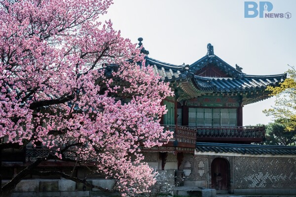 출처 = 게티이미지뱅크