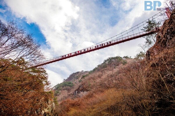 출처 = 게티이미지뱅크