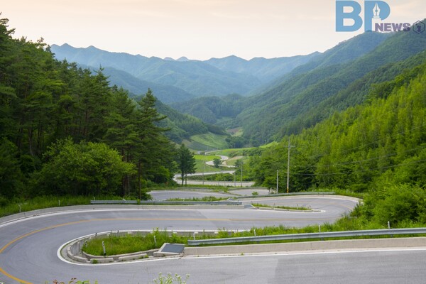 출처: 게티이미지뱅크 (강원도 드라이드 코스)
