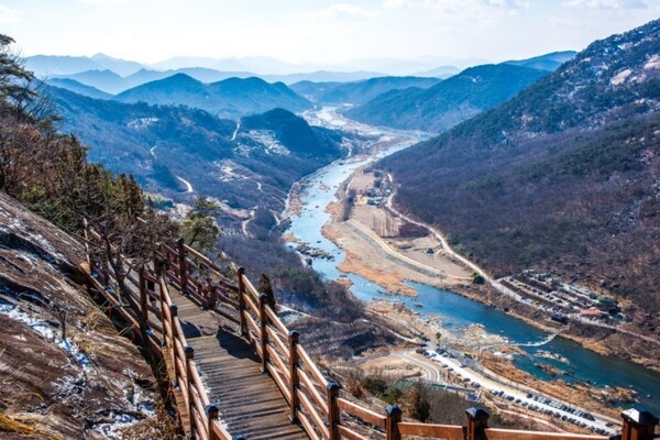 출처 = 온라인 커뮤니티