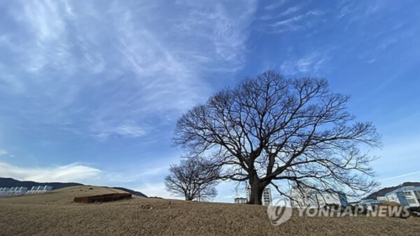 출처: 연합뉴스 (설 연휴 김해시 여행)