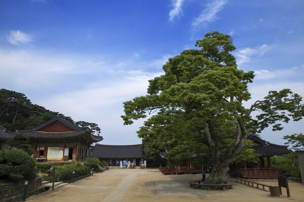 출처 = 게티이미지뱅크