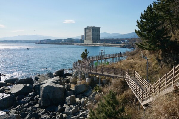 출처 = 온라인 커뮤니티