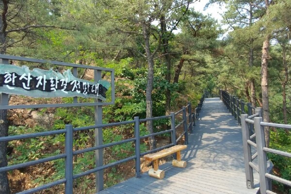 출처 = 온라인 커뮤니티