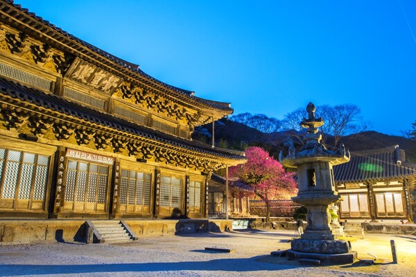 출처 = 게티이미지뱅크