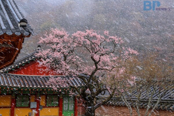 출처 = 게티이미지뱅크
