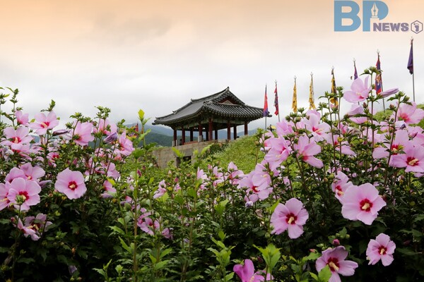 출처: 게티이미지뱅크 (서산시 천수만자전거길)