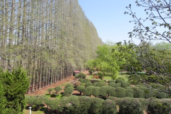 출처 = 온라인 커뮤니티