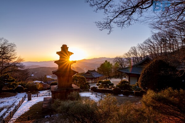출처 = 게티이미지뱅크