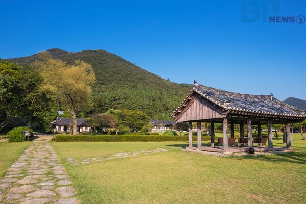 출처: 진도군 관광문화 (3월 전남 진도군 여행)