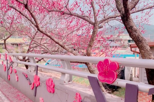 출처 = 온라인 커뮤니티