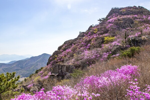 출처 = 게티이미지뱅크