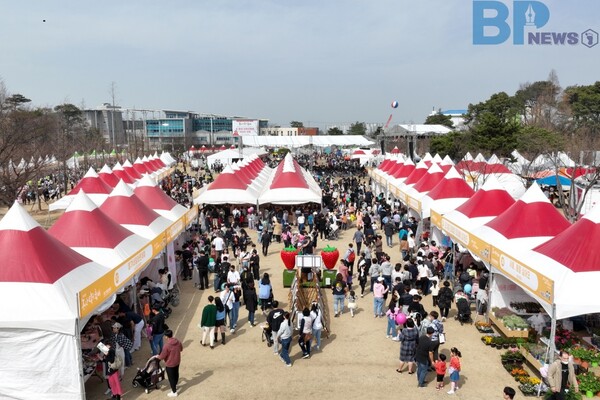 출처: 논산시 (2024 논산 딸기 축제)