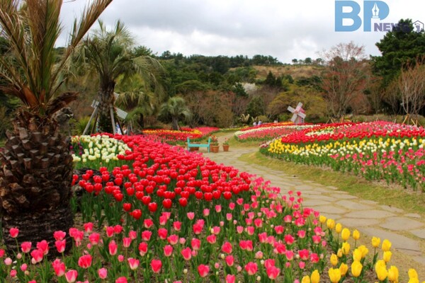 출처: 상효원 (3월 연휴 제주도 여행)