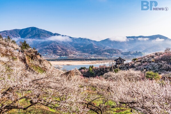 출처 = 게티이미지뱅크