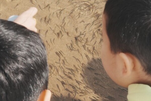 출처 = 양양군