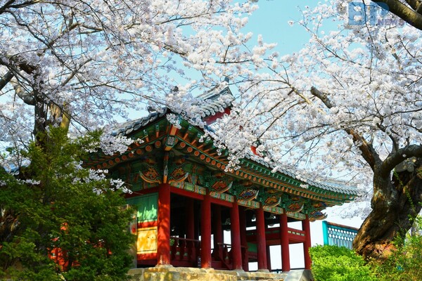 출처 = 게티이미지뱅크