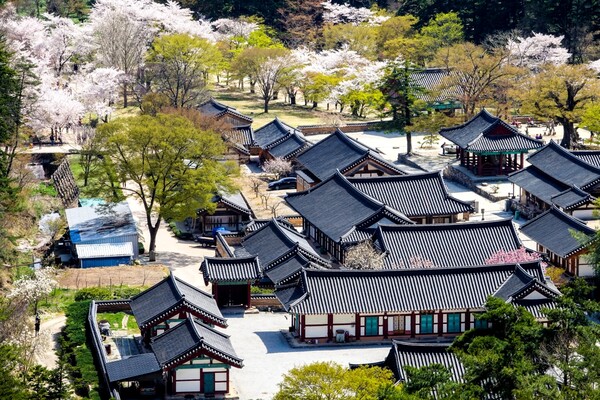 출처 = 게티이미지뱅크