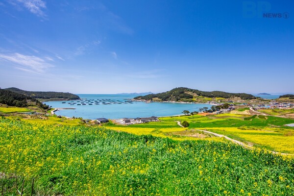 출처 = 게티이미지뱅크