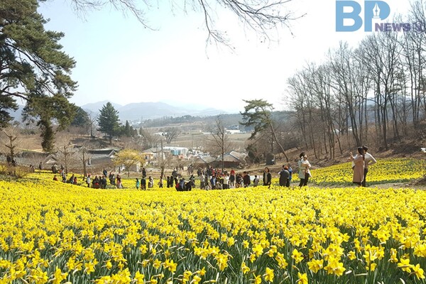 출처: 서산유기방가옥 (충청도 3월 봄꽃 여행지)