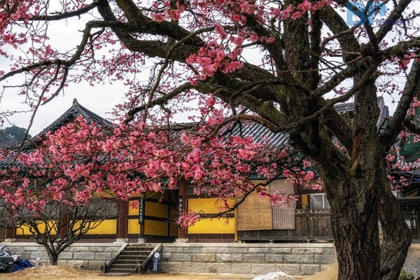 출처 = 게티이미지뱅크