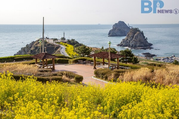 출처: 게티이미지뱅크 (부산 봄꽃 여행지)