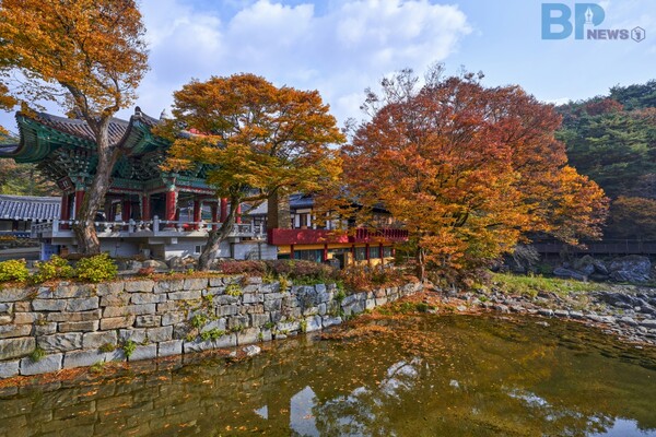 출처 = 게티이미지뱅크