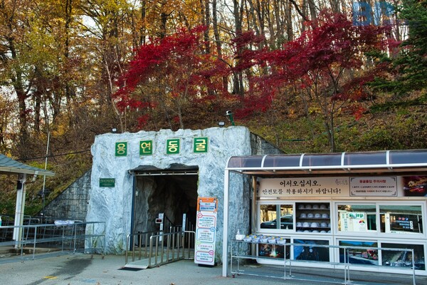 출처 = 게티이미지뱅크