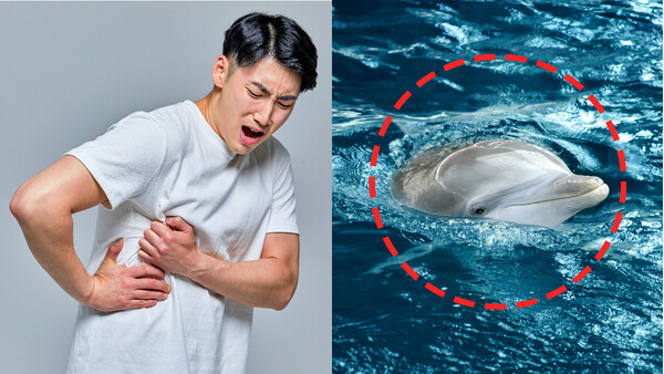 출처: 게티이미지뱅크