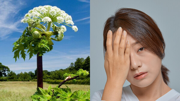 출처: 게티이미지뱅크