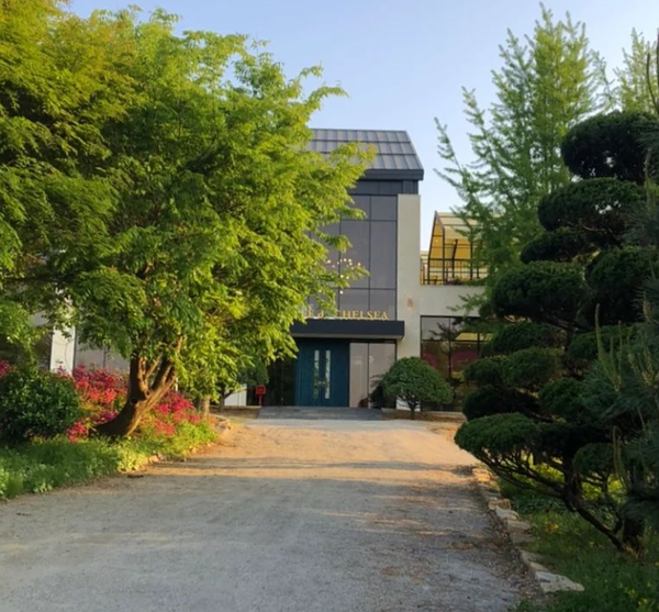 출처: 카페드첼시 인스타그램