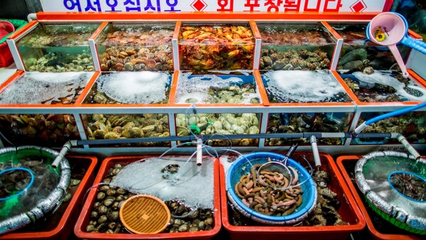 출처: 온라인 커뮤니티