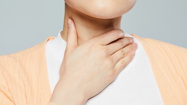 출처: 게티이미지뱅크 연출된 이미지 (기내식 사고)