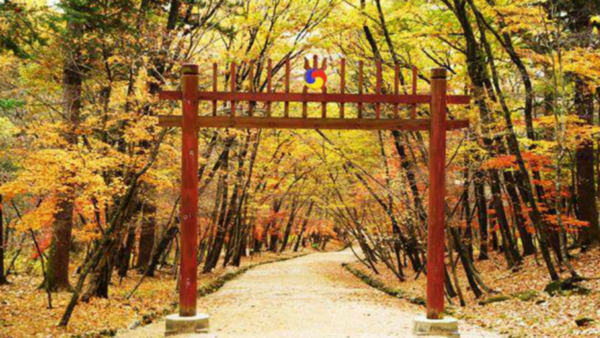 출처: 문화재청 (조선왕릉 숲길 여행)