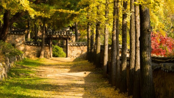 출처: 한국민속촌 홈페이지 (단풍 여행)